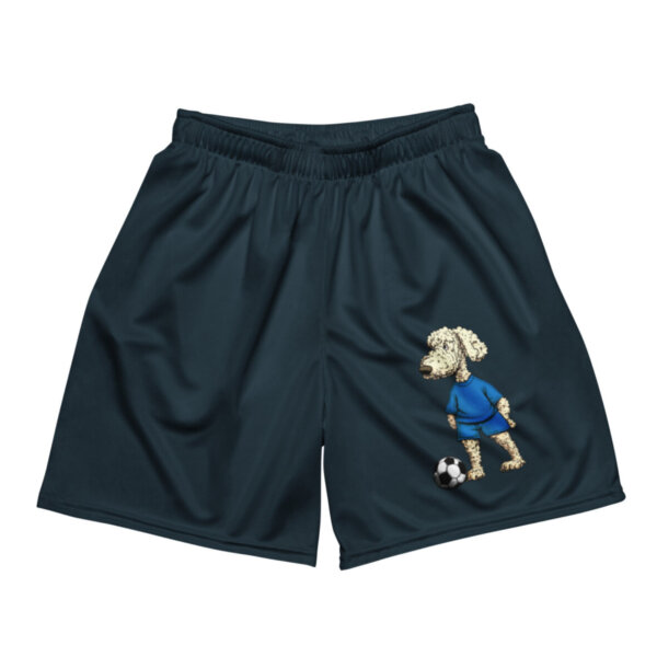 Pudel Fussballer Mesh Shorts