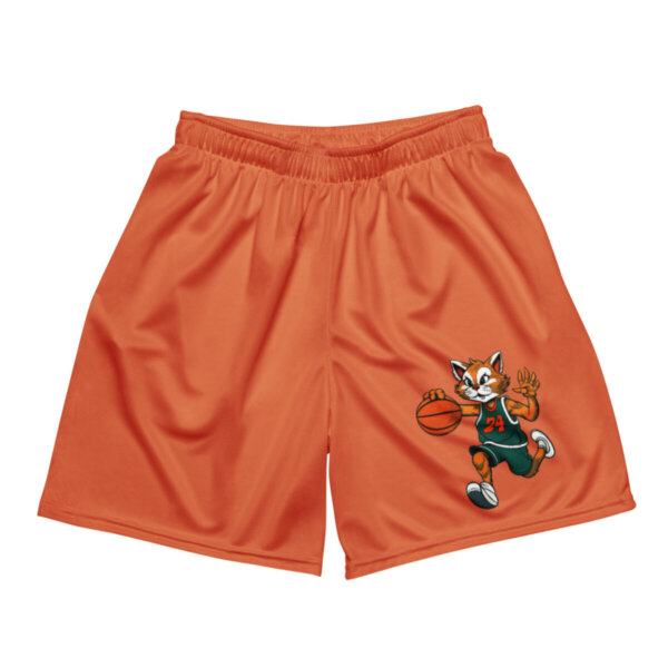 Katzen Basketball Mesh Shorts