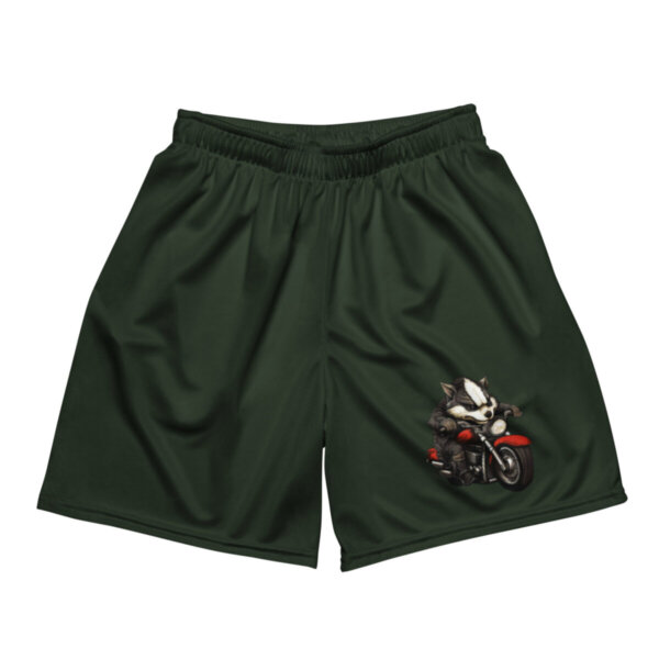 Cruiser Badger Mesh Shorts